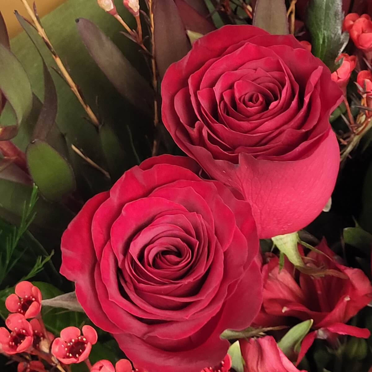 Zoomed-in detail of two red roses in bloom, accented by red wax flowers, alstroemeria petals, and textured greenery - 盛放紅玫瑰配紅色蠟花、百合花瓣及層次綠葉特寫