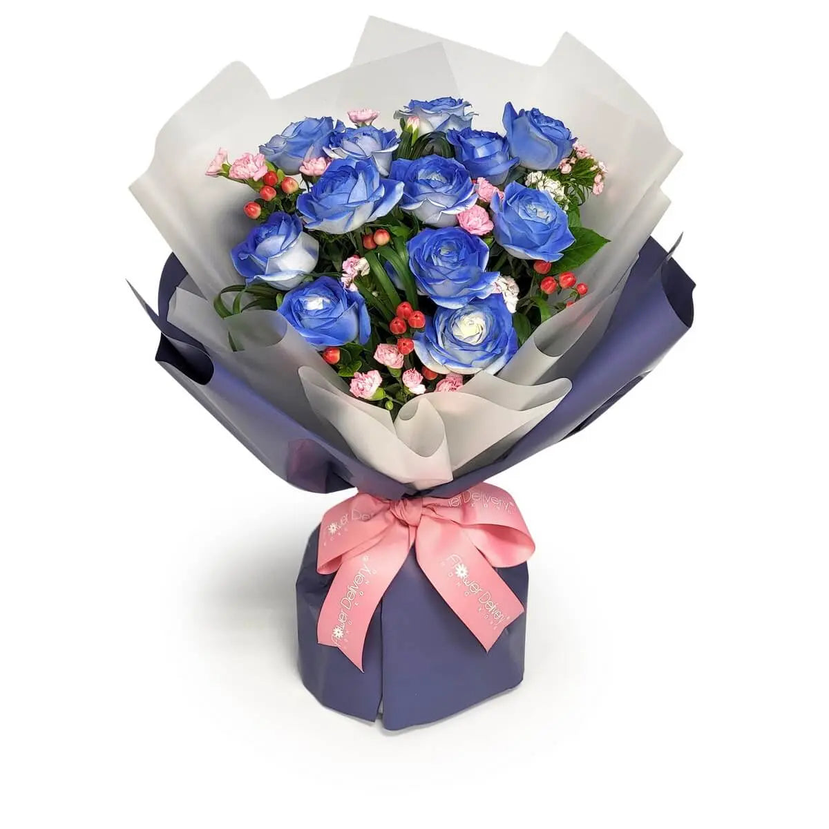 Arrangement of blue roses with white edges, pink mini carnations, and red hypericum berries in purple and ivory wrapping, tied with pink ribbon | 藍邊白玫瑰配粉紅小康乃馨及紅果,紫白包裝並綁粉紅絲帶。