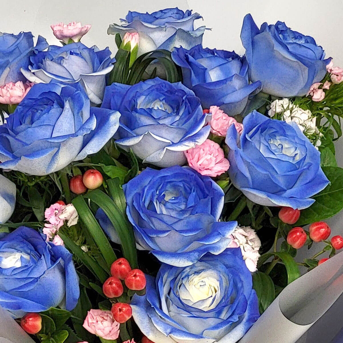 Striking bouquet of blue roses with pink carnations 藍玫瑰綻放於粉色康乃馨與紅色漿果之間,綠葉環繞,灰色包裝紙襯托出高貴脫俗的視覺效果,展現浪漫與神秘之美。