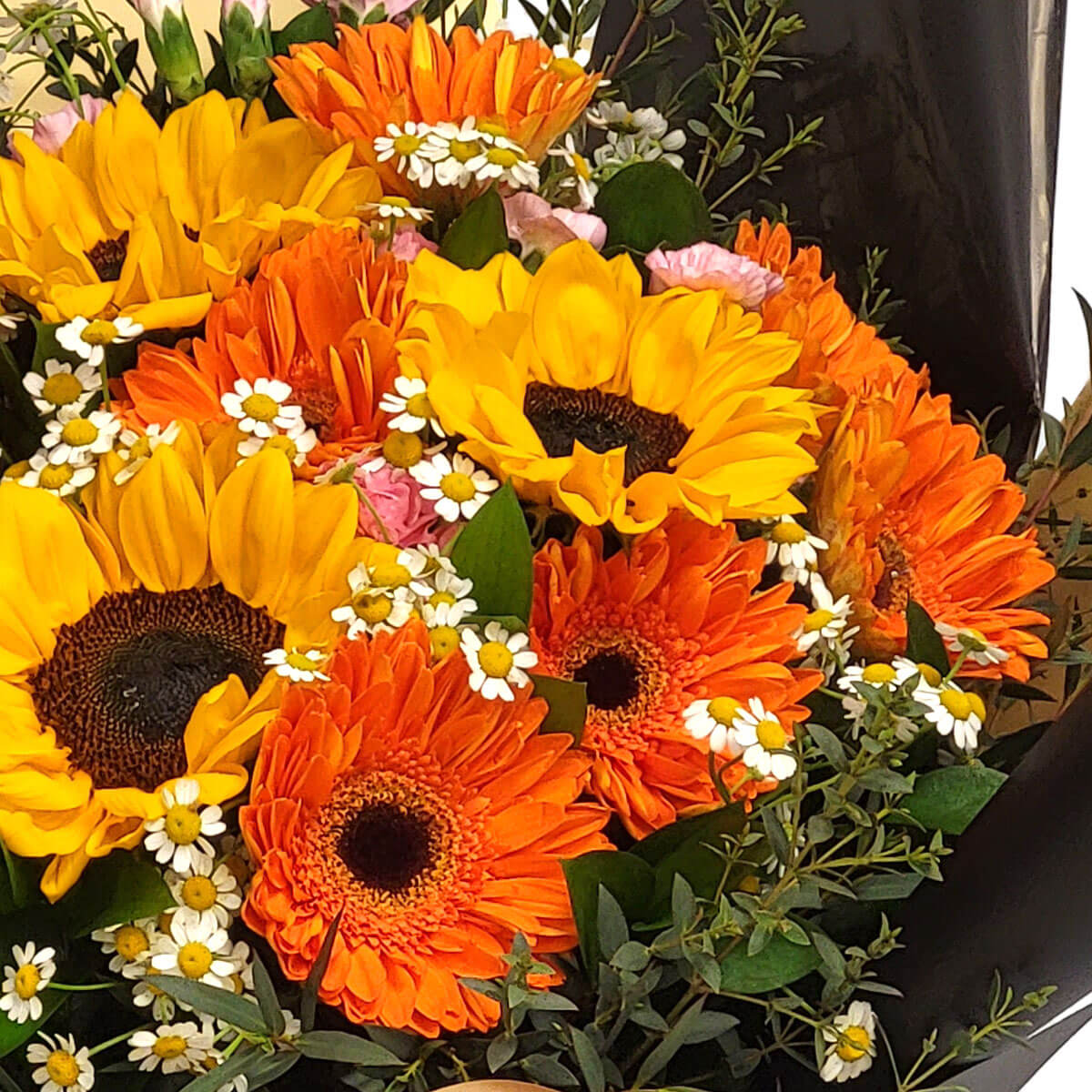 Vibrant mix of sunflowers and gerberas with chamomile 輕快向日葵搭配橘紅太陽菊與小巧洋甘菊,色彩明亮、充滿陽光氣息,是一束喚醒心情的歡樂花束。