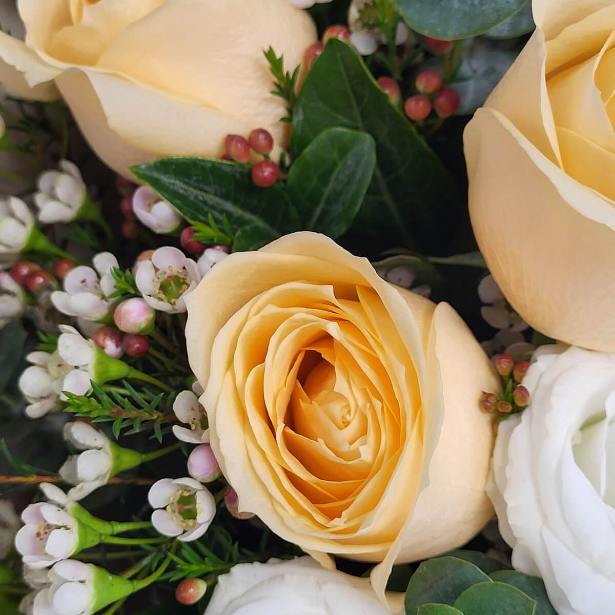 Macro view of a blooming champagne rose accented by soft pink wax flowers, white lisianthus, and glossy green leaves - 盛放香檳玫瑰配粉蠟花、白洋桔梗及光澤綠葉特寫