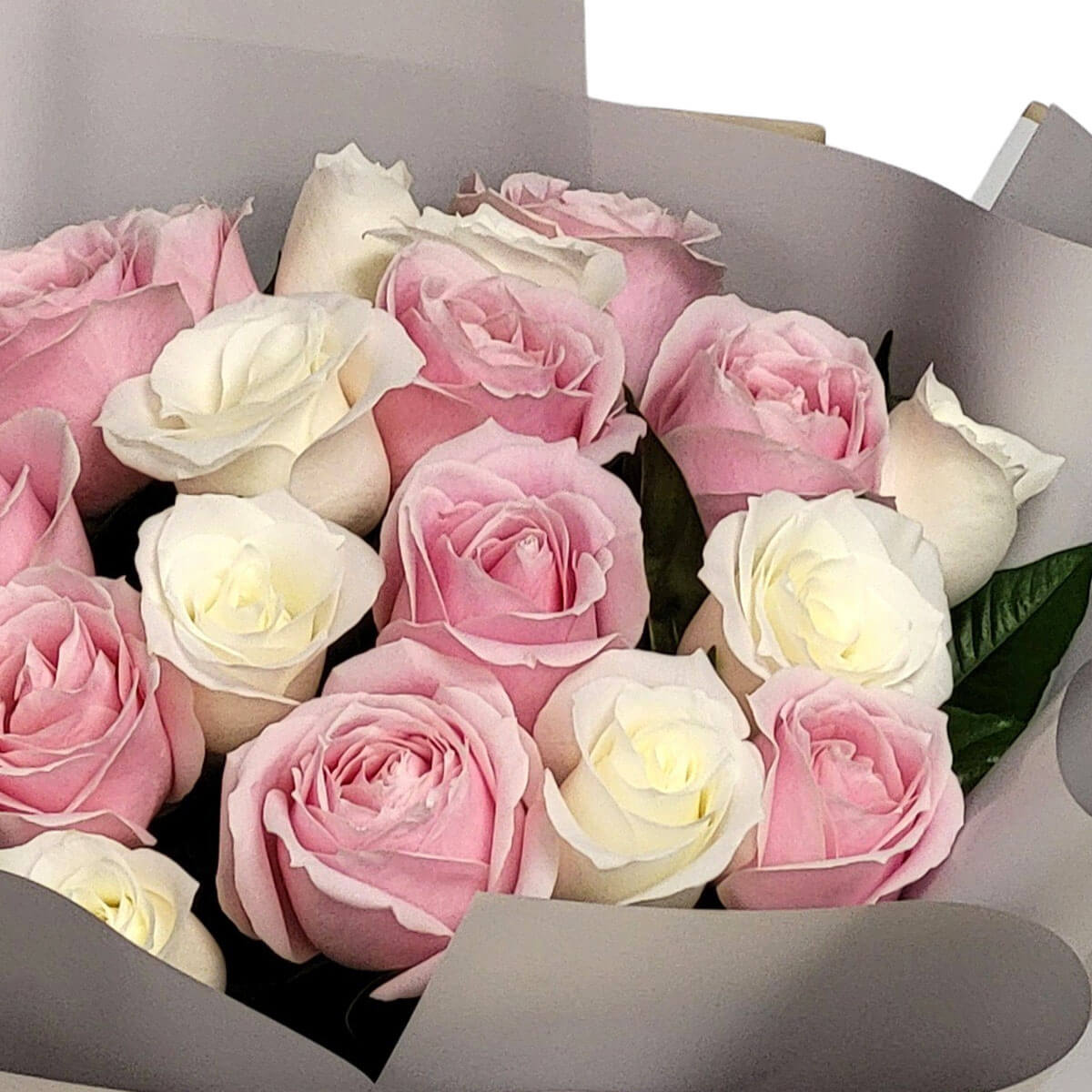 A bouquet of pastel pink and white roses wrapped in soft grey, evoking serenity and grace 柔和粉白玫瑰與灰白包裝相映成趣,營造寧靜與典雅的氛圍。