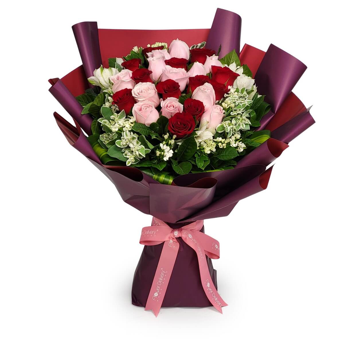 Bouquet of pink-red roses and white fillers in burgundy wrap with ribbon. 粉紅紅玫瑰配白色襯花,紫紅包裝加粉紅絲帶。