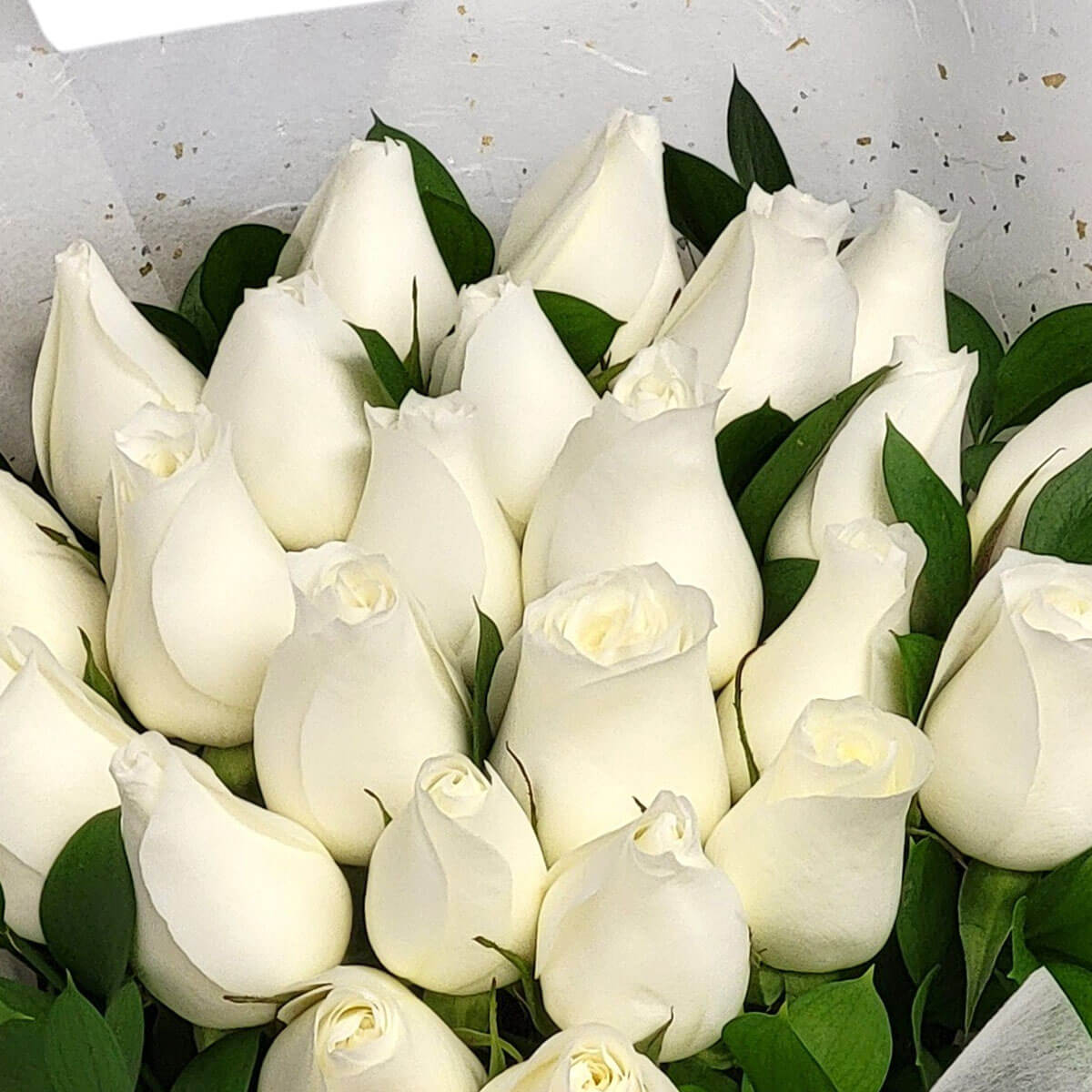 A serene bouquet of white roses nestled in lush greenery 白玫瑰花束,清新純淨,綠葉點綴其間,展現高雅與內斂之美。