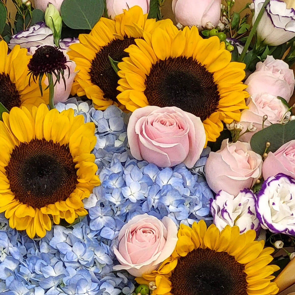 A radiant bouquet of sunflowers, blush roses, and pale blue hydrangeas 向日葵熱情綻放,搭配粉紅玫瑰與水藍繡球,清新又溫暖的色彩組合。