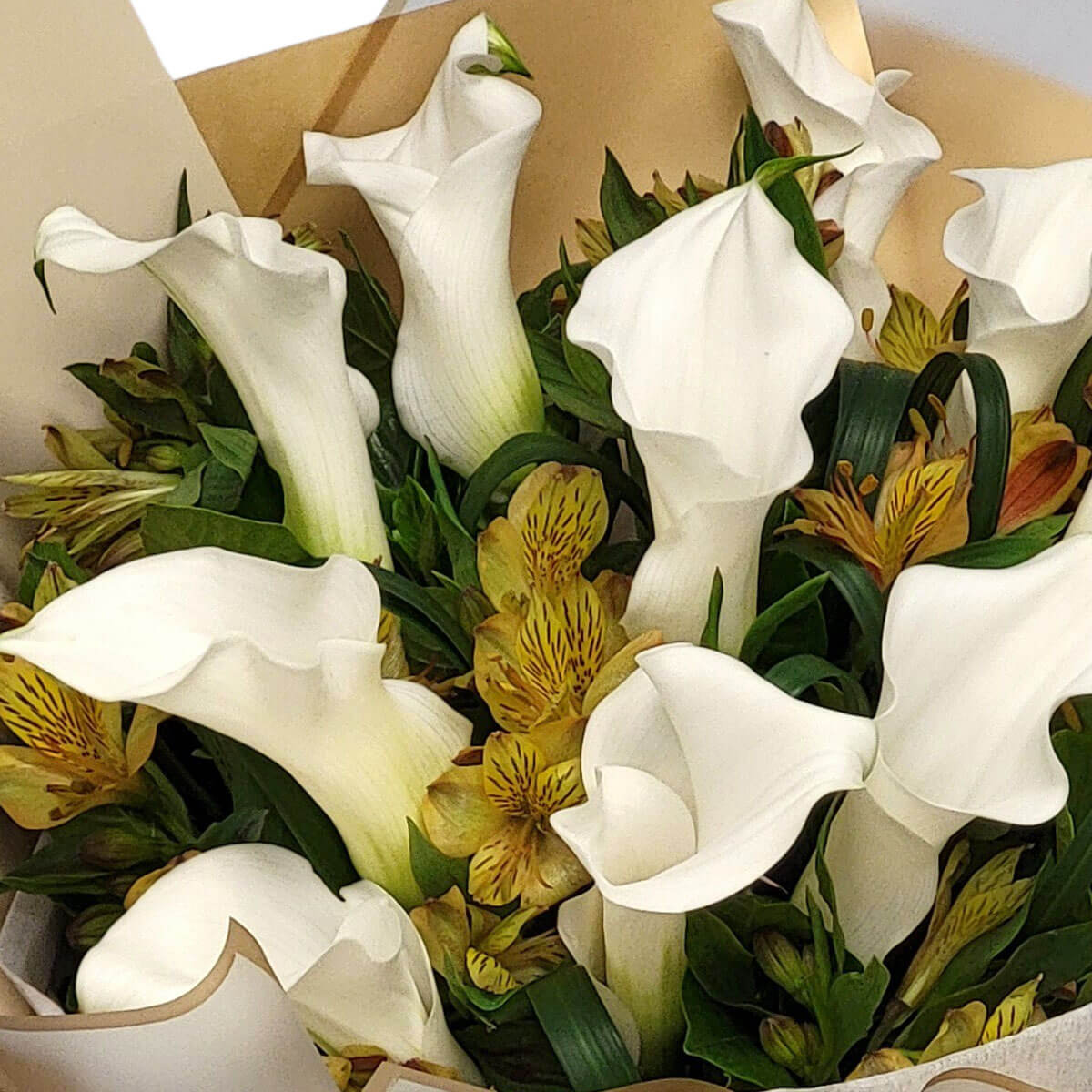Elegant white calla lilies rise among golden alstroemeria and lush foliage 白色馬蹄蓮挺拔優雅,與金黃六出花及綠意相映成趣,散發自然質感。