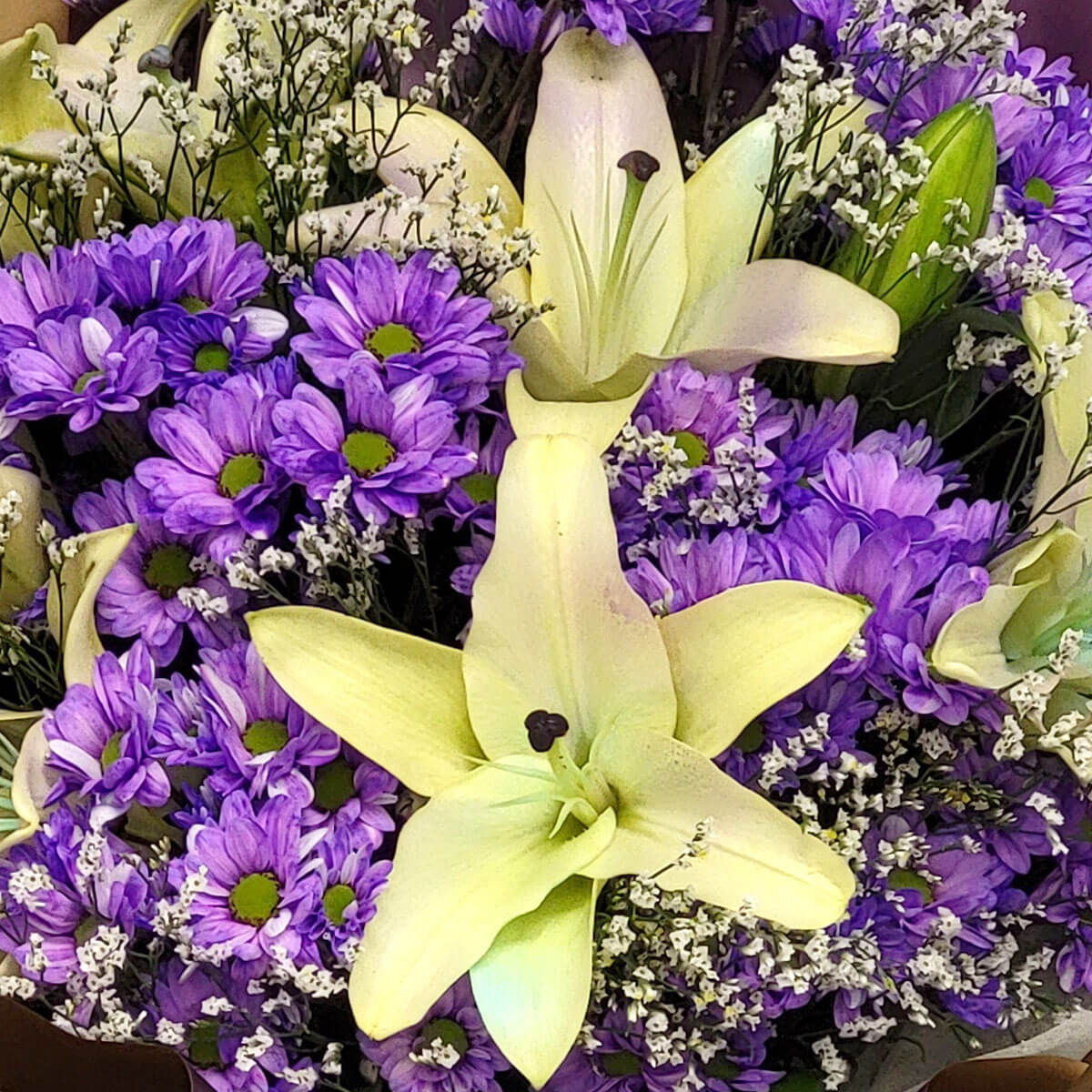 Elegant yellow lilies surrounded by vivid purple daisies and airy baby's breath 柔和百合襯托紫色雛菊與雪白滿天星,色彩清新脫俗,氣質典雅。