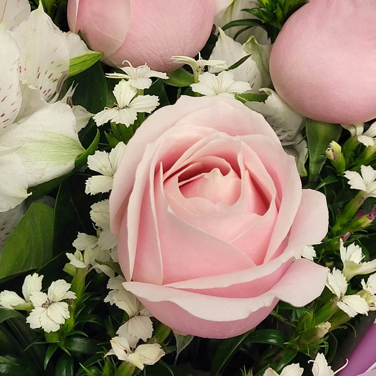 Detail view of pale pink rose bloom accented with small white dianthus and speckled alstroemeria petals 柔粉玫瑰特寫,配白石竹花與白六出花斑點花瓣,層次細緻