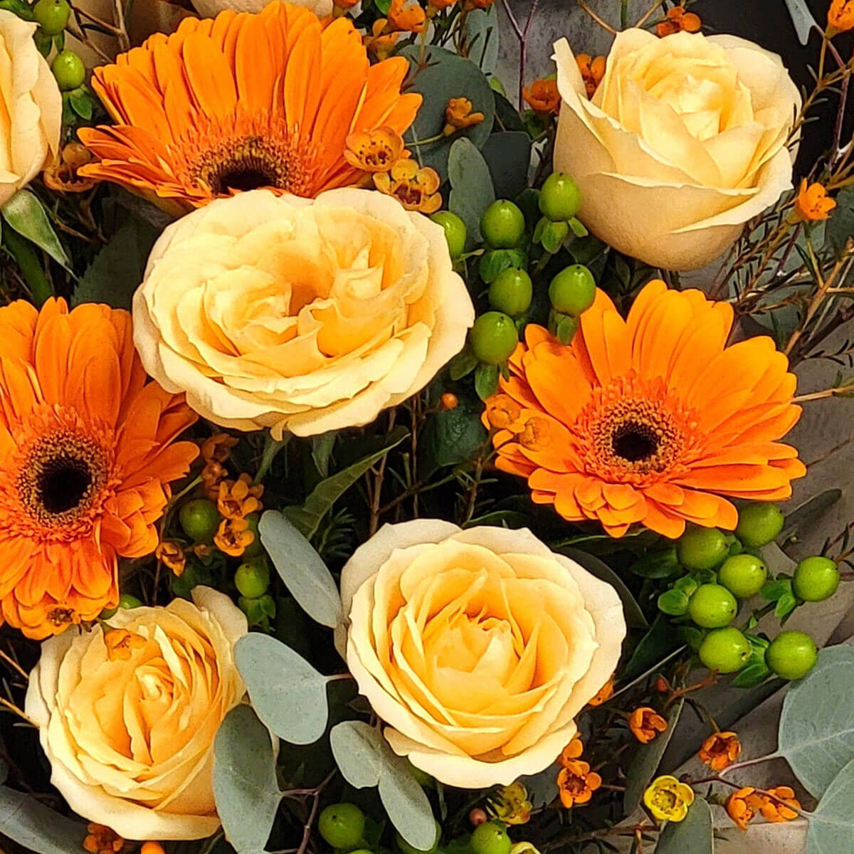 Cheerful orange gerberas with buttery roses and green berry accents 鮮橙色太陽菊、奶油黃玫瑰與綠色漿果共譜活力花束,充滿秋日暖陽般的朝氣與溫柔。