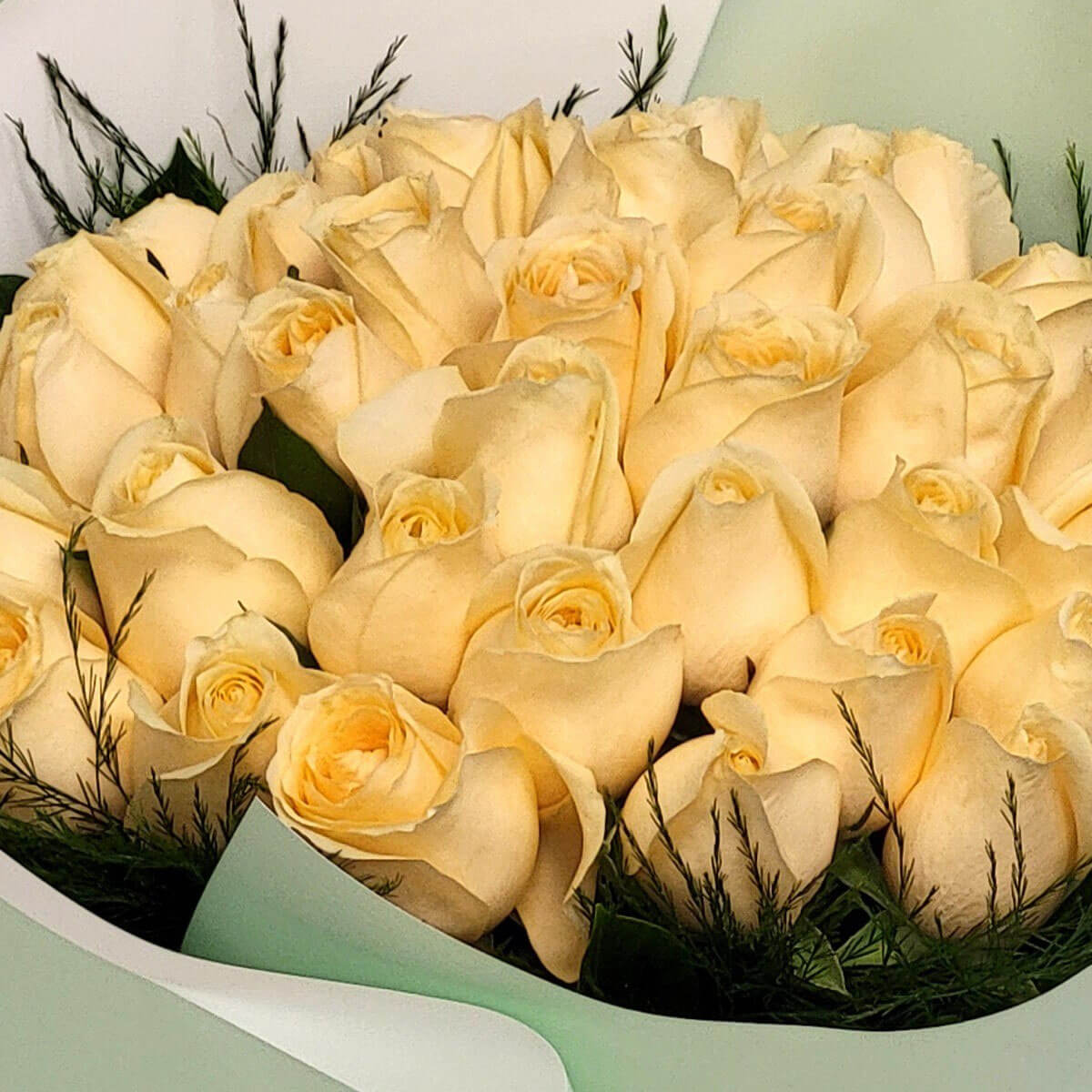 A full bouquet of pale yellow roses in mint green wrap 奶油黃玫瑰花束溫潤明亮,搭配薄荷綠包裝紙,營造出清新淡雅的幸福感。