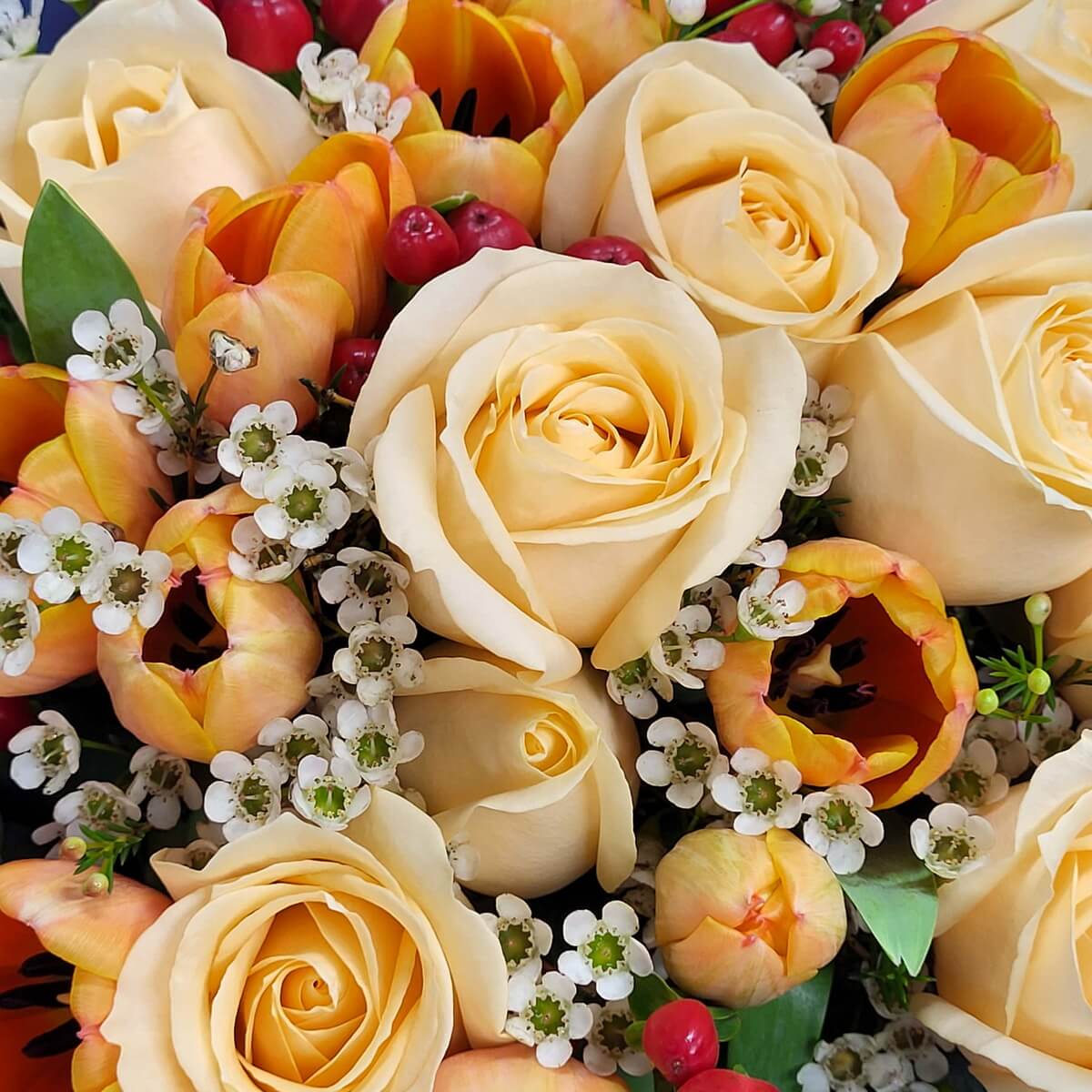 Macro view of soft champagne roses, orange tulips with yellow edges, clusters of white waxflowers, and glossy red hypericum berries 香檳玫瑰、橙黃漸變鬱金香、白蠟花與亮紅鼠尾草果的細節特寫