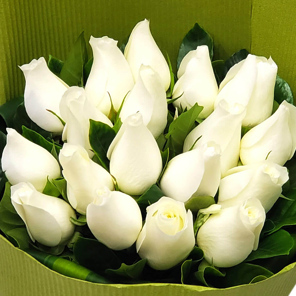 Graceful white rose bouquet with lush green leaves in pastel green wrap. 純白玫瑰與綠葉交織,包裹於柔和綠色花紙中,散發優雅與寧靜之美。