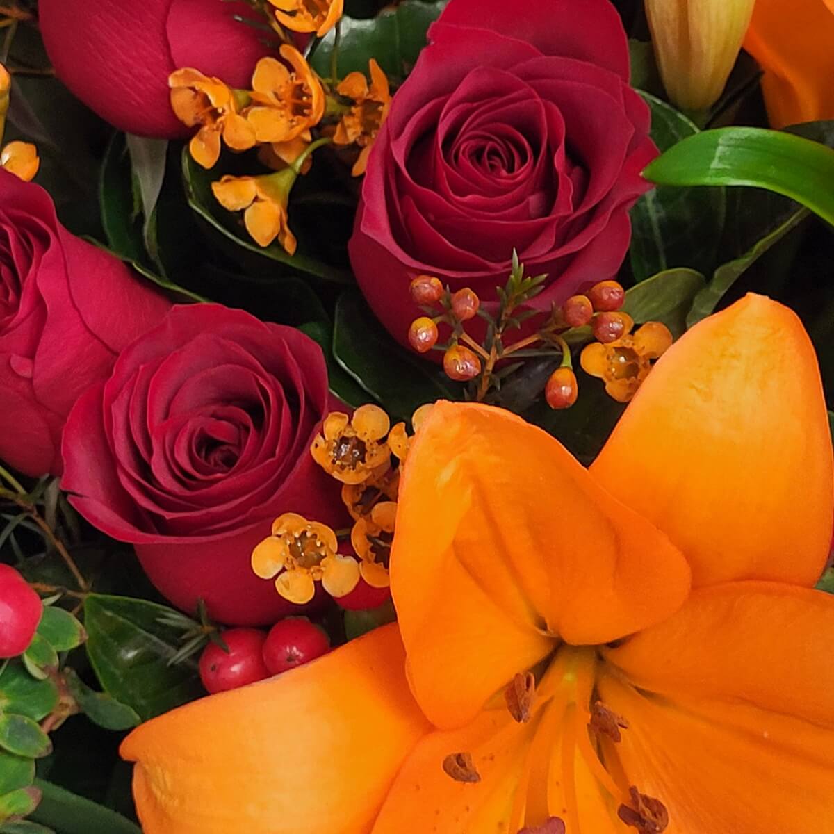 Detail view of deep red roses alongside a vibrant orange lily, yellow wax flowers, and red hypericum berries with glossy green foliage - 紅玫瑰配橙百合、黃蠟花、紅朱頂果及光澤綠葉特寫