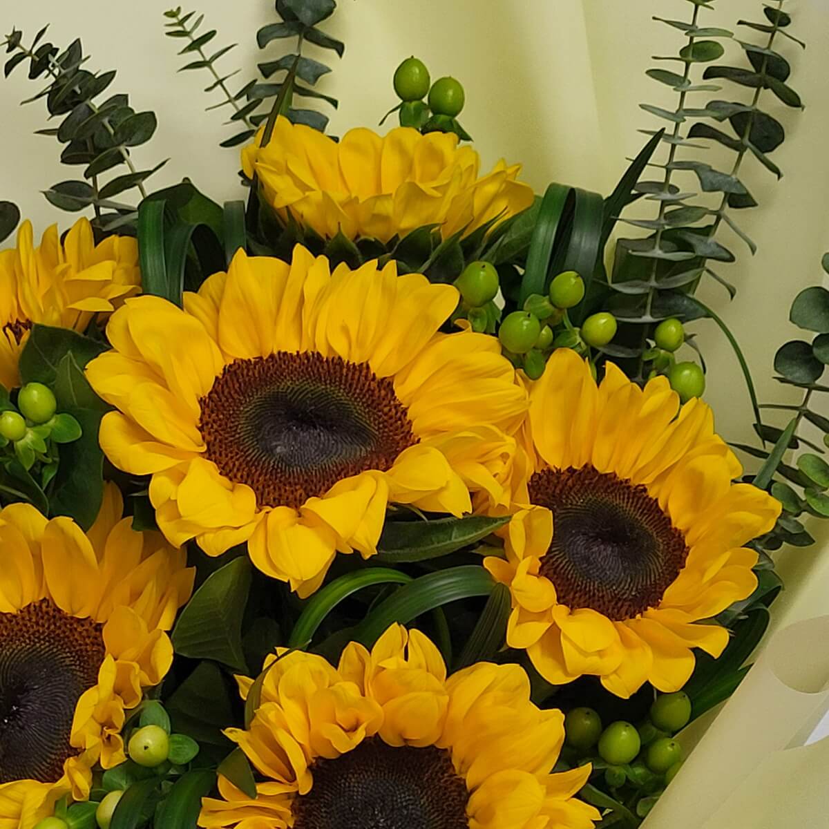 Detail view of vibrant yellow sunflowers arranged with green hypericum berries and textured eucalyptus leaves in soft wrapping - 向日葵鮮黃奪目,配綠色朱頂果及尤加利葉材,柔和包裝中特寫