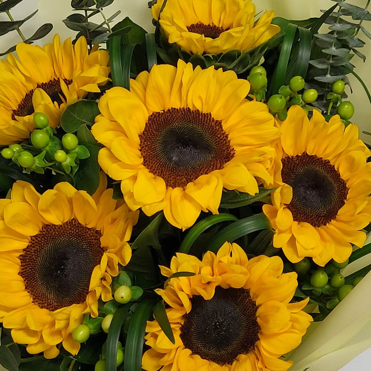 Detail view of six vibrant sunflowers paired with green hypericum berries, spiral foliage, and eucalyptus leaves for a lush arrangement - 六朵鮮黃向日葵配綠朱頂果、螺旋葉材及尤加利葉特寫