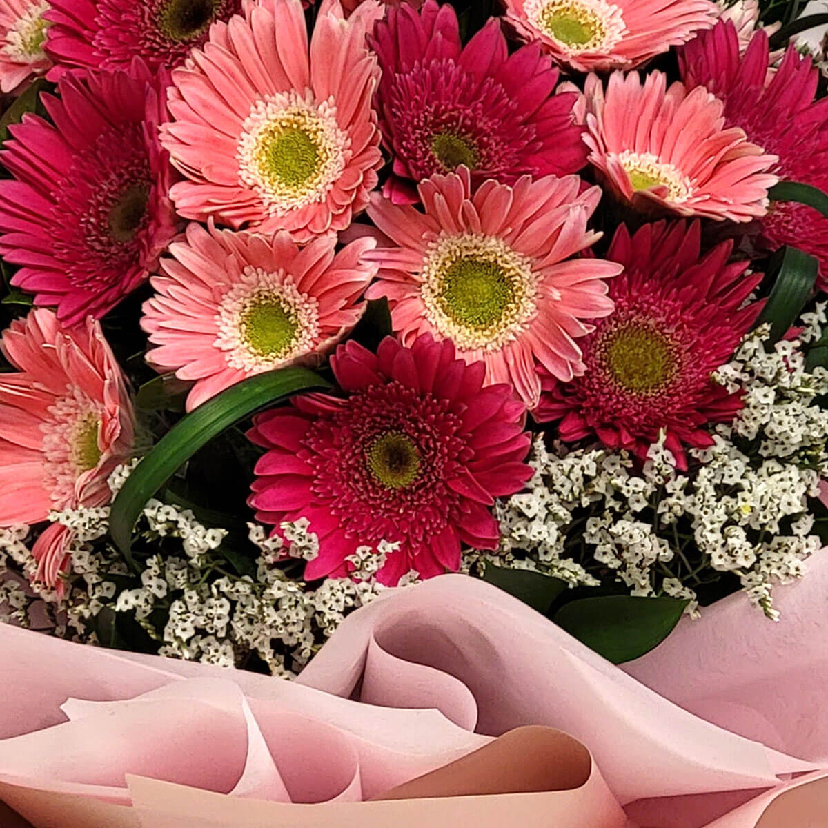 Cheerful pink and magenta gerberas paired with dainty white fillers 粉色系非洲菊綻放如笑顏,白色配花點綴其間,粉嫩包裝傳遞暖心祝福與愉悅情感。