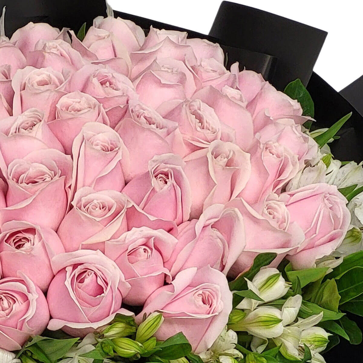Dozens of blush roses nestle among white alstroemeria, symbolizing grace and gentle love 粉玫瑰搭配純白六出花,細膩柔美,如輕語傳情,表達溫柔與深情。
