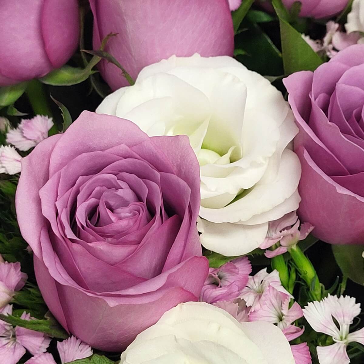 Close-up view of a compact floral arrangement composed of lavender roses and white lisianthus, showing dense petal layers, soft color contrast, and natural green foliage 紫色玫瑰與奶白色洋桔梗近距離花藝細節