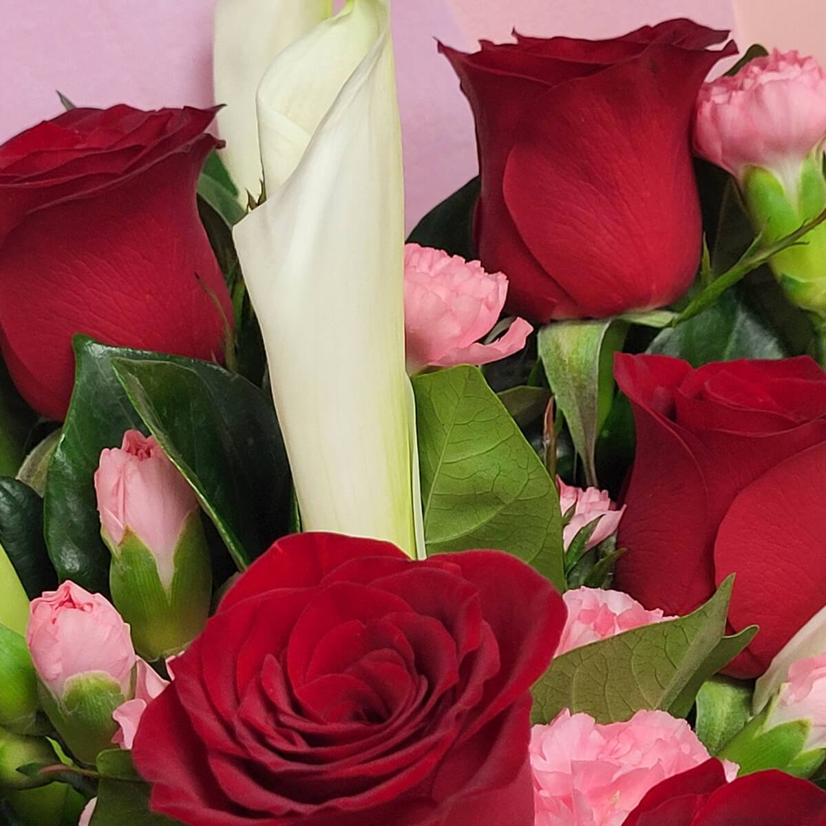Zoomed-in view of red roses, white calla lilies, pink spray carnations, and glossy green leaves 紅玫瑰、白馬蹄蘭、粉迷你康乃馨與亮綠葉片近拍