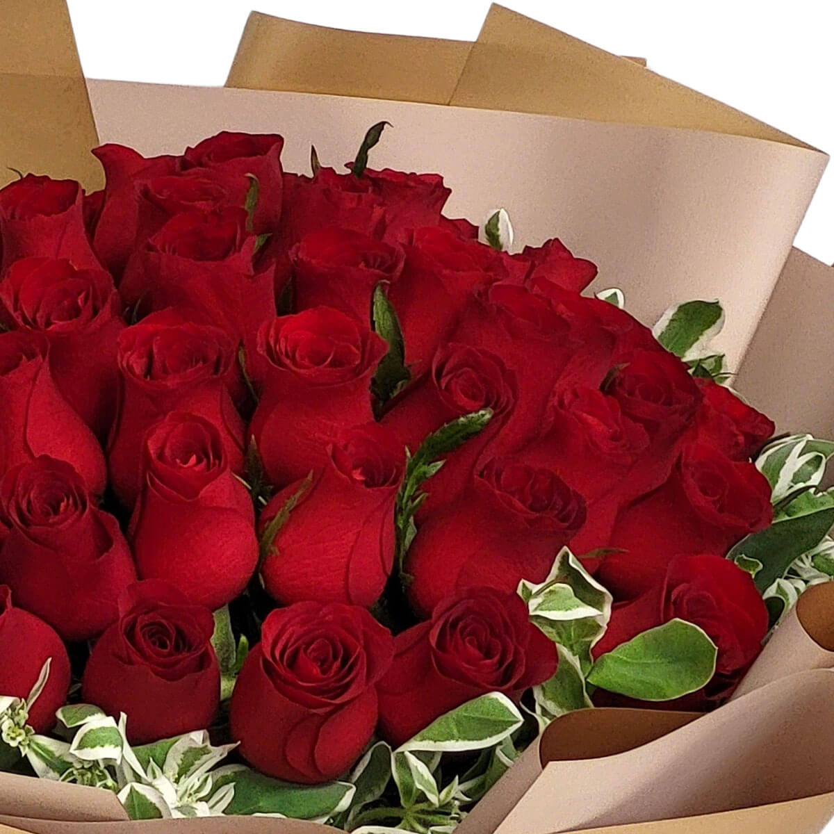 An opulent arrangement of red roses framed by elegant variegated leaves—a timeless symbol of love and devotion 經典紅玫瑰搭配雅致綠葉,綻放濃情蜜意與不變承諾。