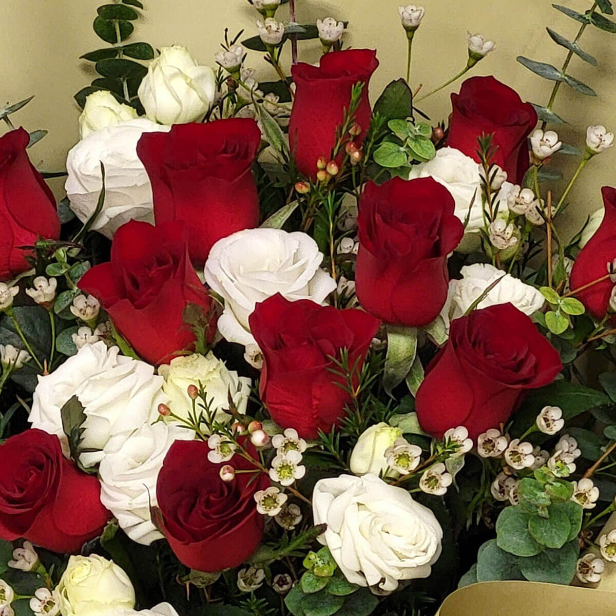 Red and white roses with waxflowers and greens, symbolizing unity and devotion 紅白玫瑰與滿天星點綴綠葉,傳遞愛的協奏與純潔承諾。