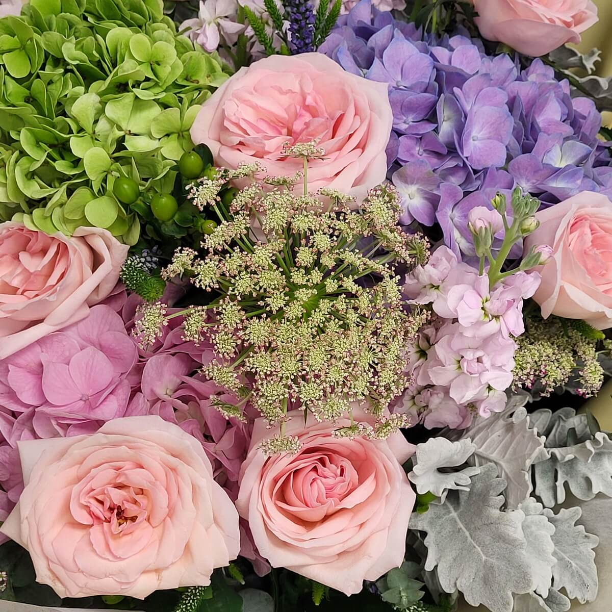 Detail view of soft pink roses, green and purple hydrangeas, Queen Anne’s lace, and dusty miller leaves. 粉紅玫瑰、綠紫繡球花、蕾絲花及銀葉菊組成的細節特寫畫面。