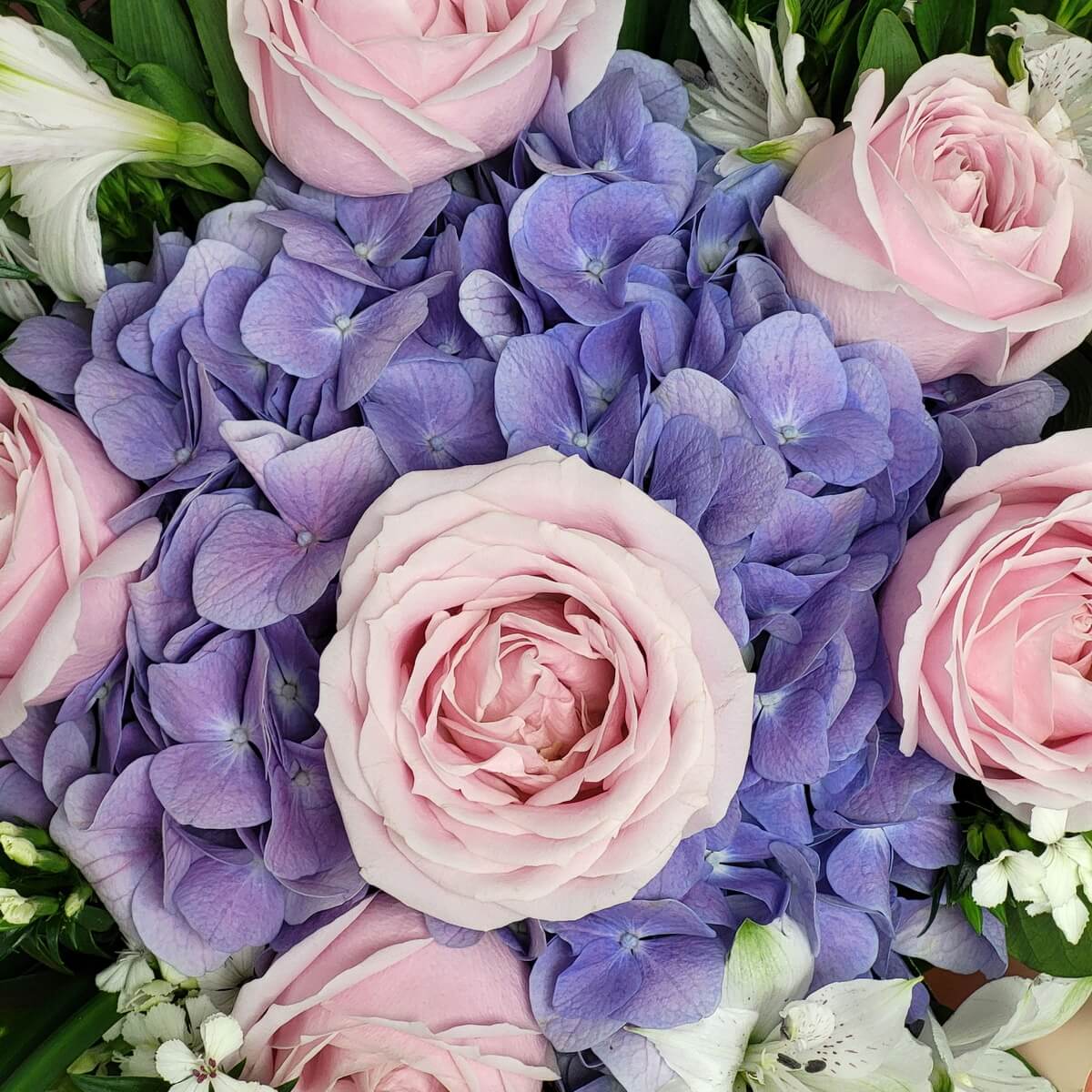 Zoomed-in view of pale pink roses, purple hydrangeas, and white alstroemeria flowers with green foliage. 粉紅玫瑰、紫色繡球花與白色六出花搭配綠葉的放大構圖。