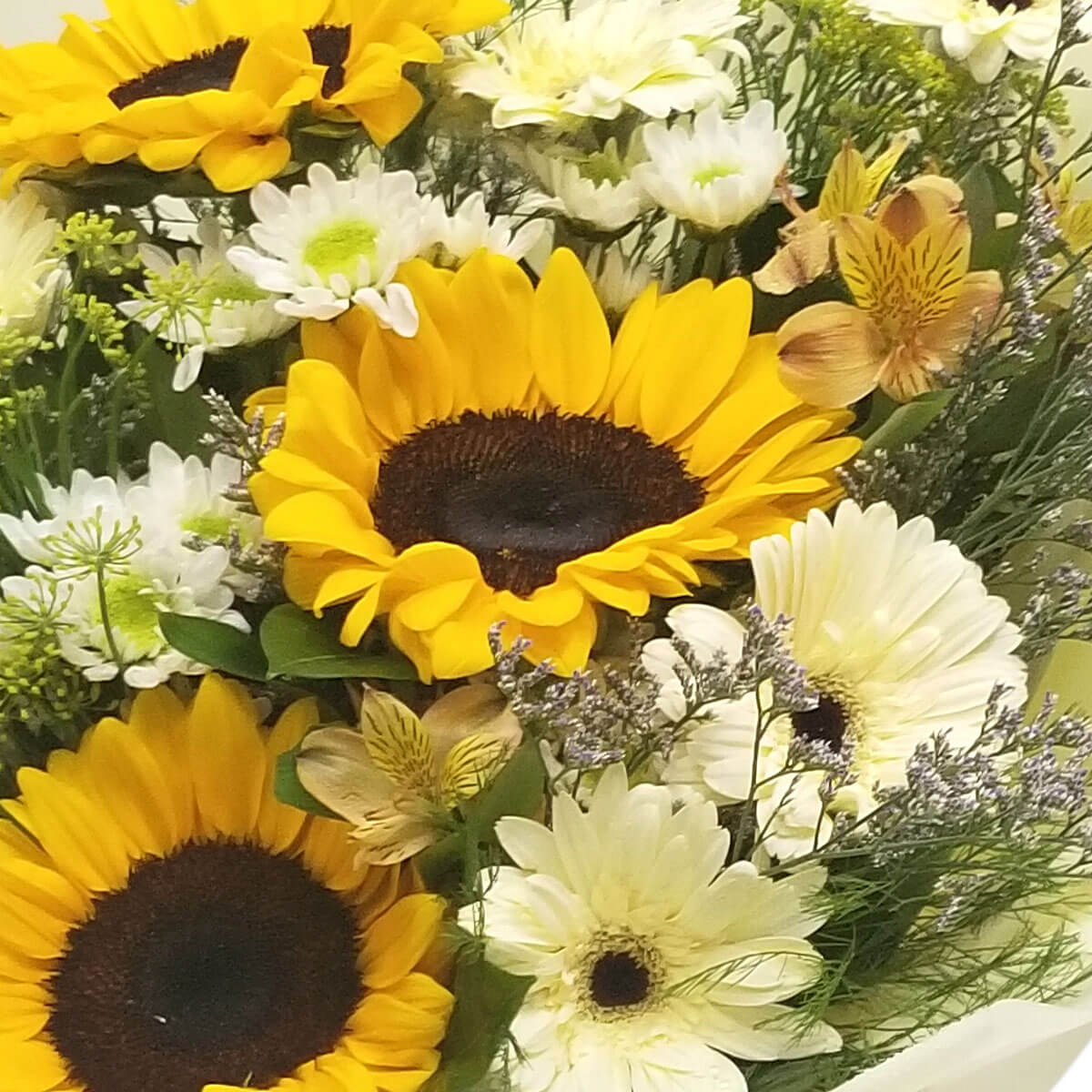 Lively sunflower bouquet with white gerbera daisies, yellow alstroemeria, and lush greenery. 向日葵、白色非洲菊與黃金百合交織,綠葉點綴,充滿陽光與喜悅的氛圍。