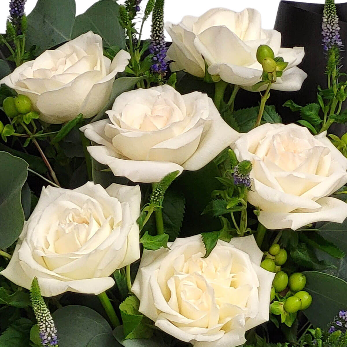 Elegant white roses nestled among lush greenery and purple veronica, symbolizing purity and grace 優雅白玫瑰與繁葉、紫色馬鞭草相映成趣,展現純淨與高雅之美。