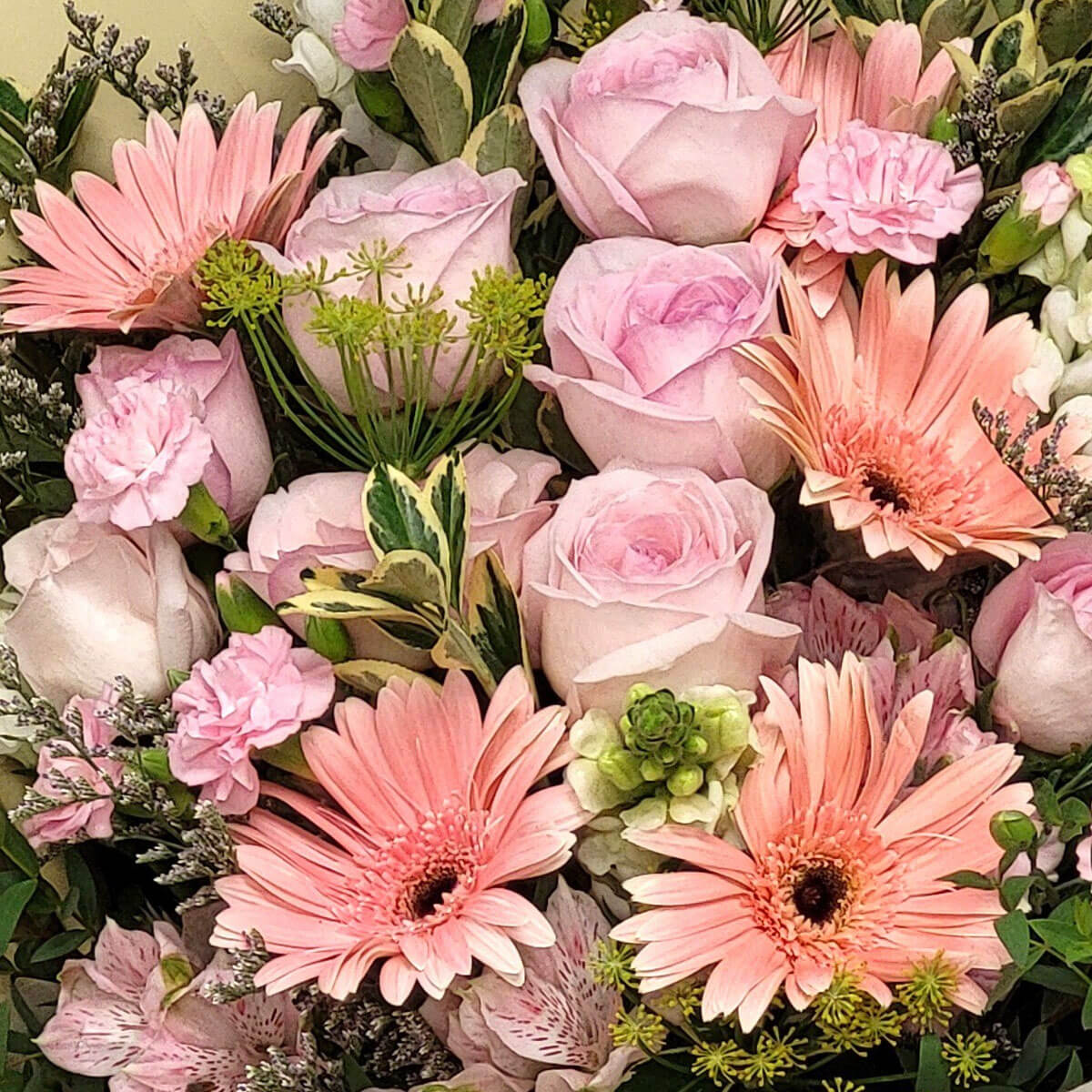 A delicate arrangement of soft pink roses, gerberas, and carnations 粉紅玫瑰與扶郎花、康乃馨交織而成的花束,展現柔美與純真的祝福。
