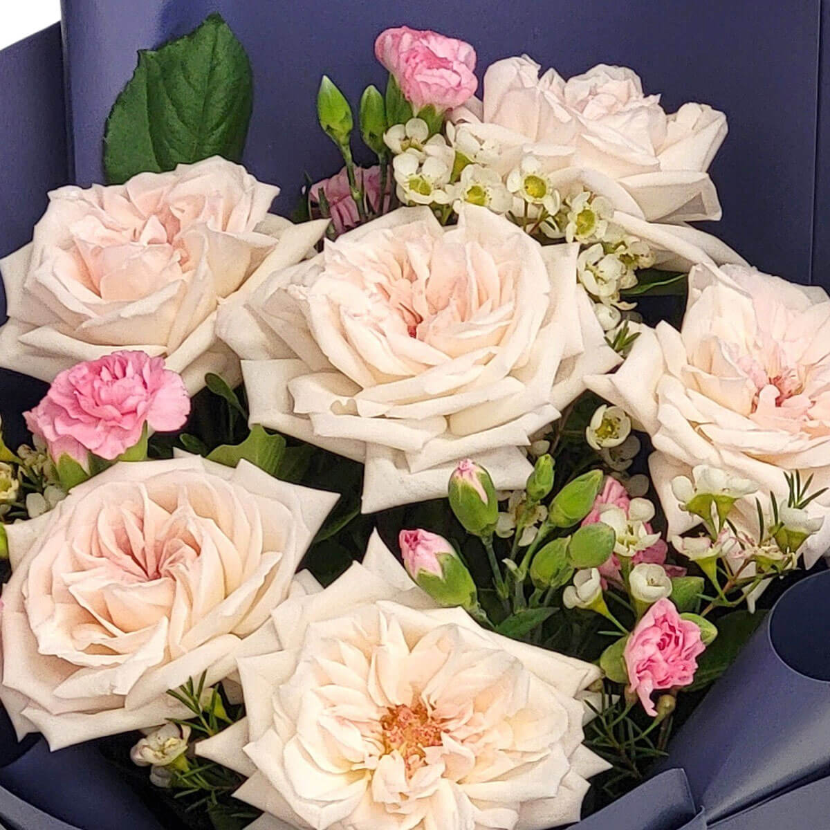 A graceful bouquet of soft blush roses and petite pink buds in deep blue wrapping 柔粉玫瑰與嬌嫩花苞,搭配深藍包裝,散發低調奢華與浪漫氛圍。