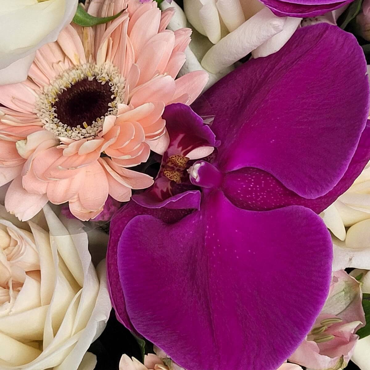 Macro view showing vivid fuchsia orchid, pale peach gerbera, ivory rose, and hints of white filler flowers and greenery 紫紅蝴蝶蘭、淺蜜桃非洲菊、奶白玫瑰,以及白色配花與綠葉細節特寫