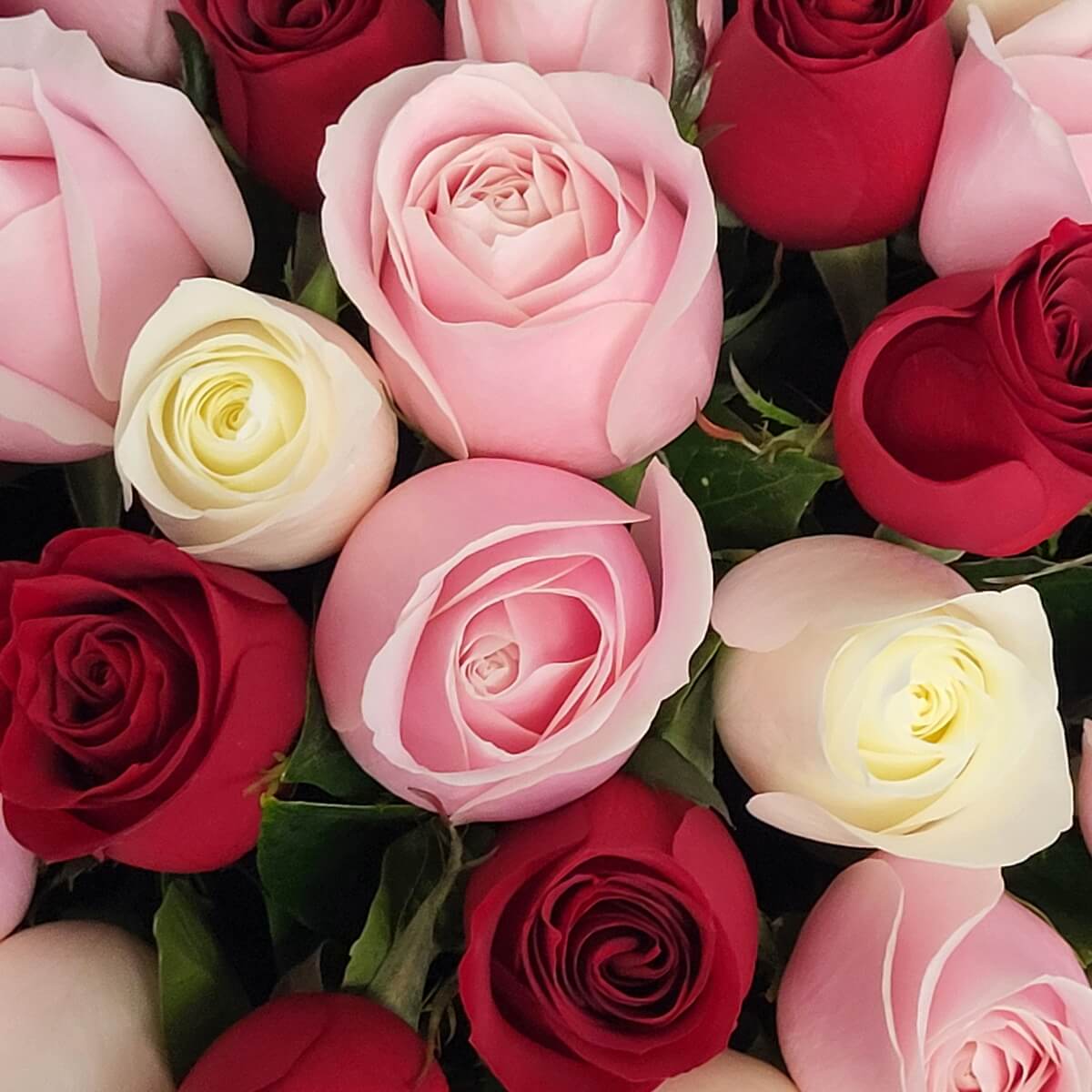 Detail view of a romantic mix of red, blush pink, and cream roses arranged in a tightly packed floral composition 浪漫色調紅、粉紅與奶白玫瑰緊密排列成花團,構成豐富層次的特寫畫面