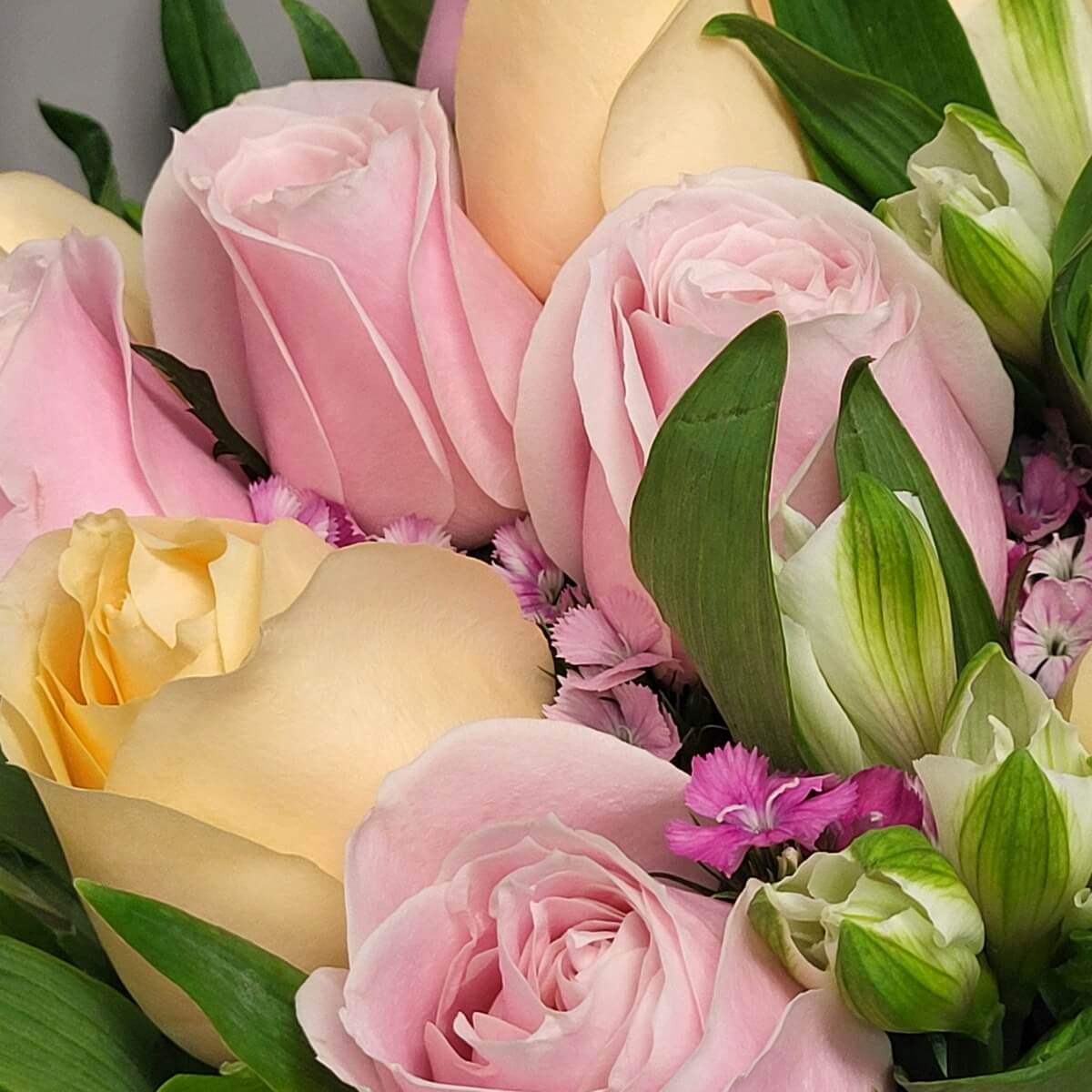 Close-up view of soft pink and champagne roses accented by white alstroemeria buds, layered with vibrant purple dianthus 柔粉與香檳玫瑰特寫,配白色六出花苞及鮮紫石竹花層疊點綴