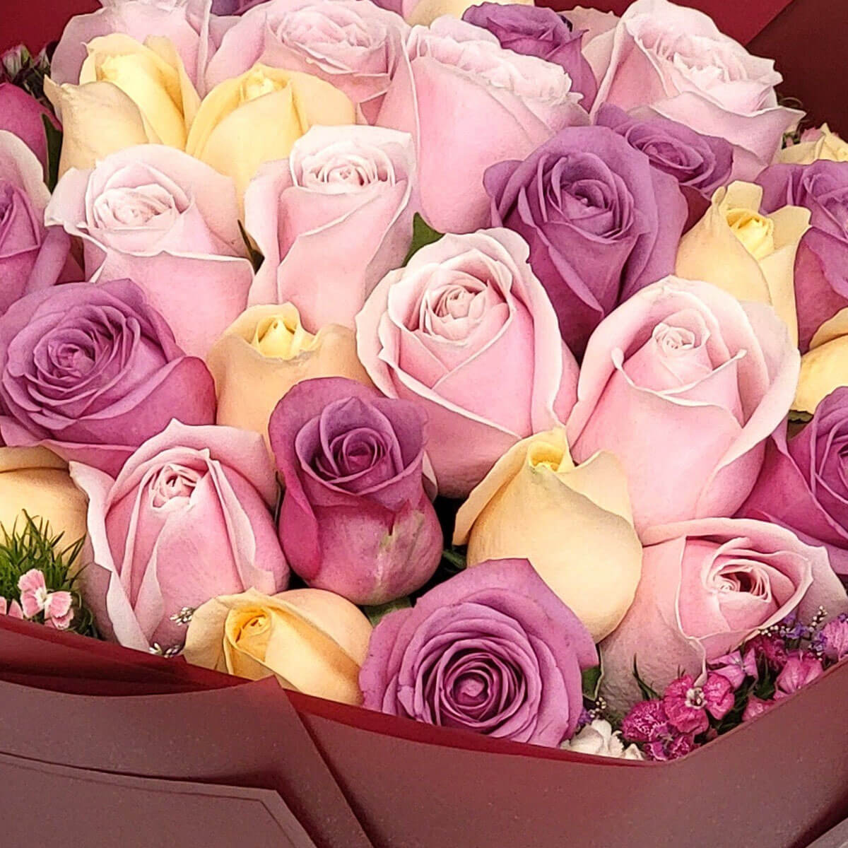 A cheerful mix of pink, lavender, and champagne roses in red wrapping delivers timeless elegance 粉紫與香檳玫瑰交錯,紅色包裝更添典雅氣息。