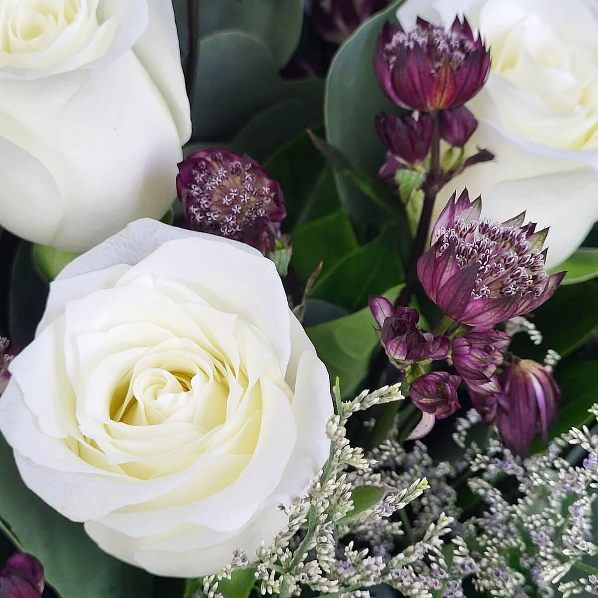 Zoomed-in view of ivory white roses paired with dark plum astrantia and silver-toned limonium. 象牙白玫瑰、深紫紫羅蘭花與銀白色海芋草的放大構圖。