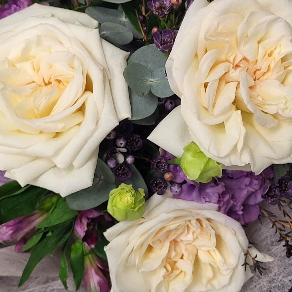 Detail view of lush white garden roses, soft purple lisianthus, green rosebuds, and dark purple wax flowers surrounded by eucalyptus leaves - 白玫瑰配紫洋桔梗、綠玫瑰花苞、深紫蠟花及尤加利葉材特寫