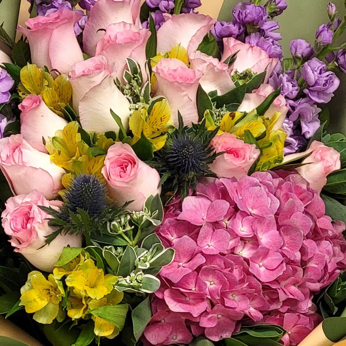 A dynamic bouquet of pink roses, yellow alstroemeria, blue thistle, and pink hydrangeas 粉色玫瑰與繡球搭配金黃色百合與藍色松球,色彩對比鮮明,洋溢春日活力。