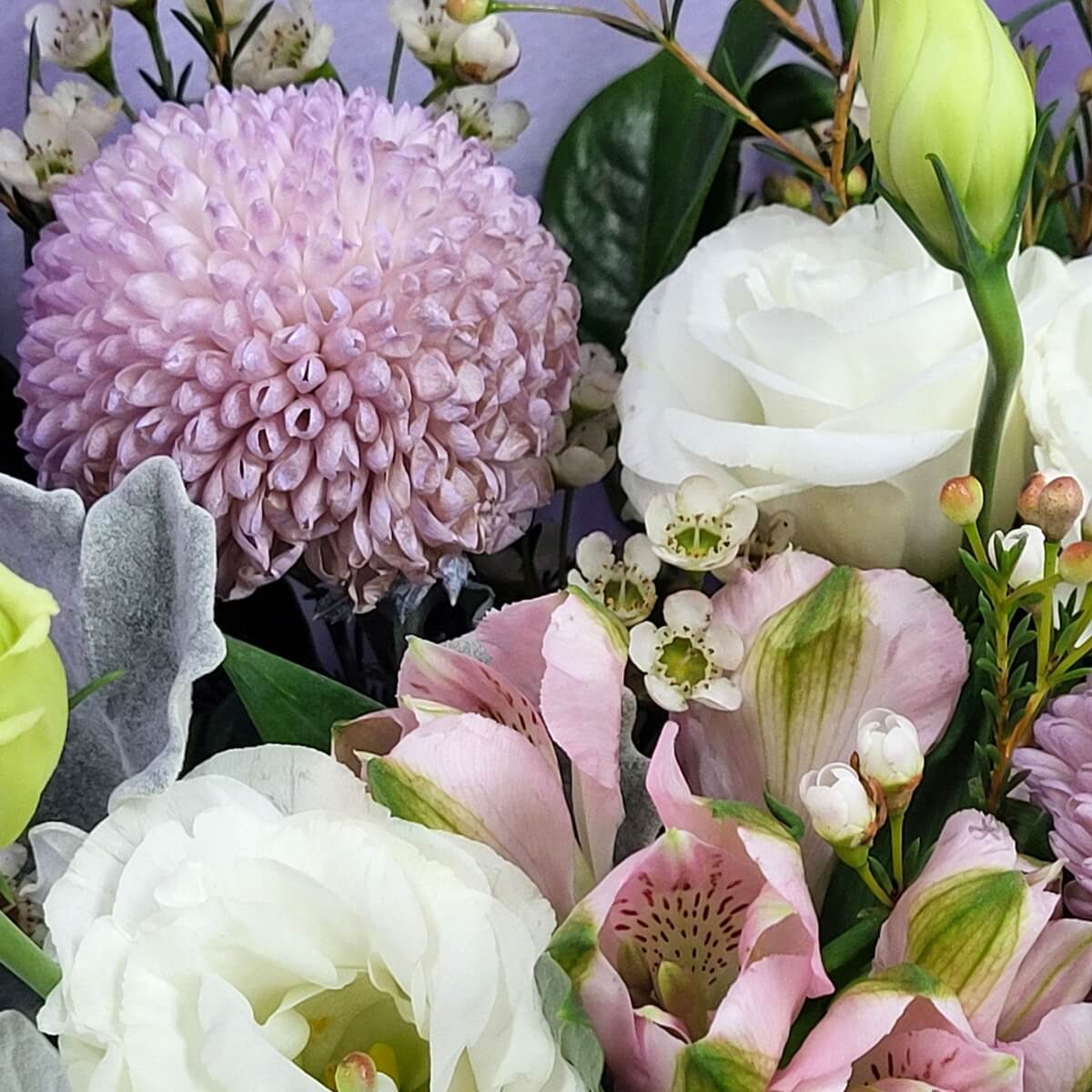 Detailed close-up of lavender button chrysanthemum, white lisianthus, pale pink alstroemeria with striped throats, waxflowers, and dusty miller 紫粉乒乓菊、白洋桔梗、條紋六出花、蠟花與銀葉菊細節特寫