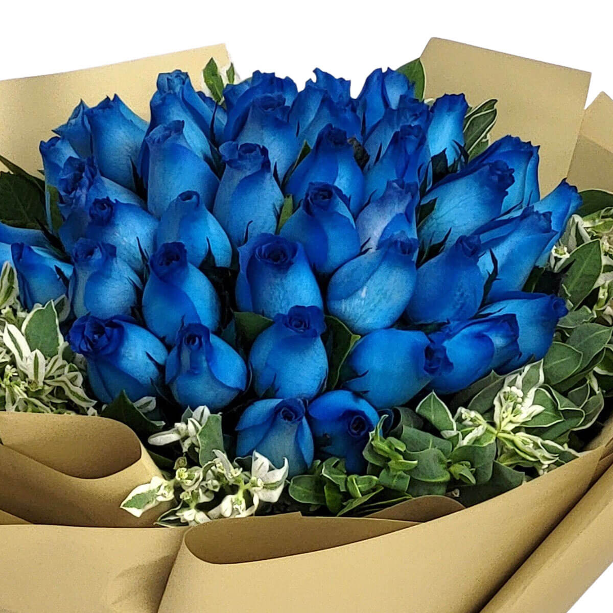 A stunning arrangement of royal blue roses surrounded by white and green filler flowers and wrapped in neutral-toned paper 鮮明藍玫瑰與綠白襯花搭配,展現典雅神秘的視覺效果。