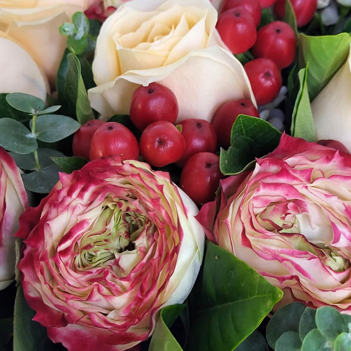 Close-up of cream and ruffled pink roses with berries 奶油玫瑰與粉紅花邊玫瑰特寫,搭配紅色漿果及尤加利葉。