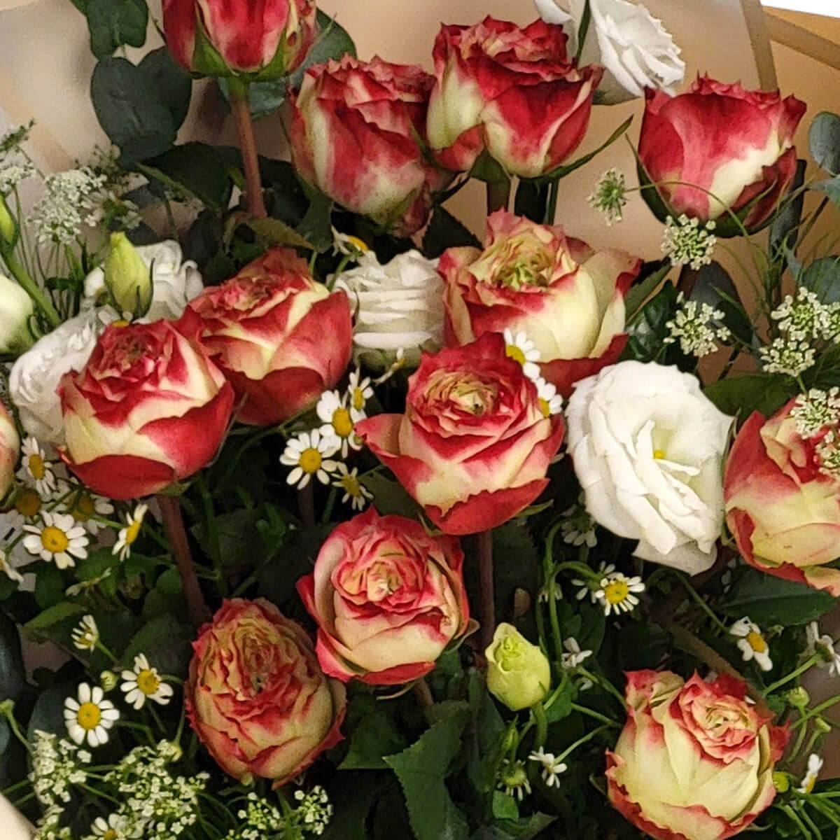 A rustic bouquet of red-and-cream roses, white lisianthus, and chamomile blossoms 雙色紅奶油玫瑰結合白桔梗與小洋甘菊,散發自然與優雅的田園氛圍。