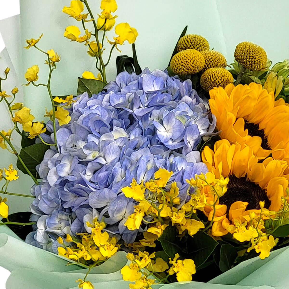 Blue hydrangeas, sunny sunflowers, and yellow oncidiums in mint-green wrapping 藍繡球、向日葵與舞春花交織,散發清新活潑的氣息。