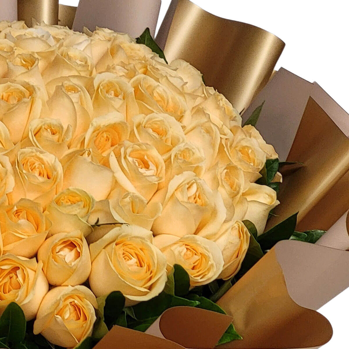A luxurious bouquet of champagne roses, beautifully arranged in golden beige wrapping 香檳玫瑰優雅綻放,金米色包裝展現溫馨與高雅的氛圍。