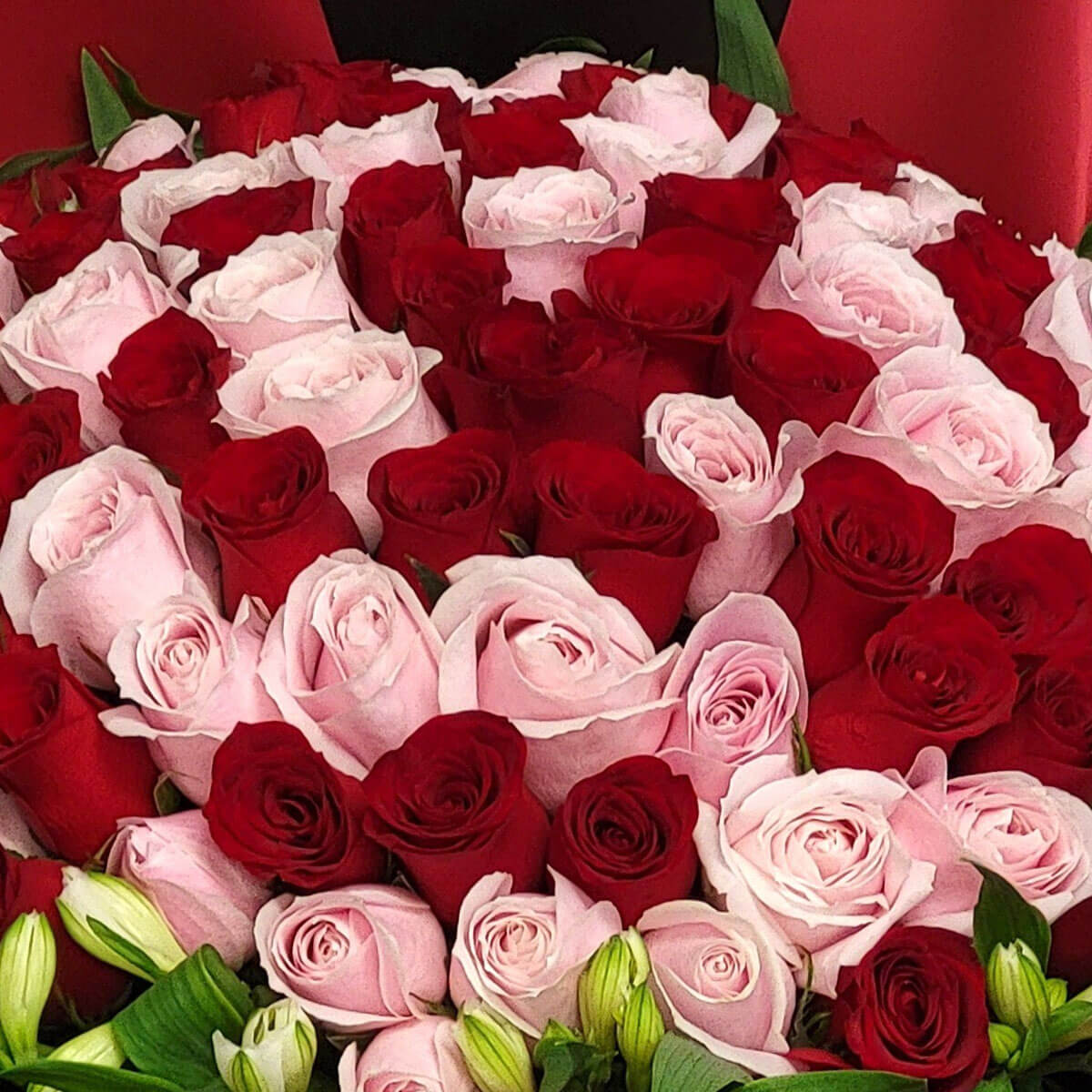 Red and pink roses arranged in a heart-like swirl 紅玫瑰與粉玫瑰交錯排列,如愛心般層層盛開,綠葉點綴其間,象徵深情與溫柔。