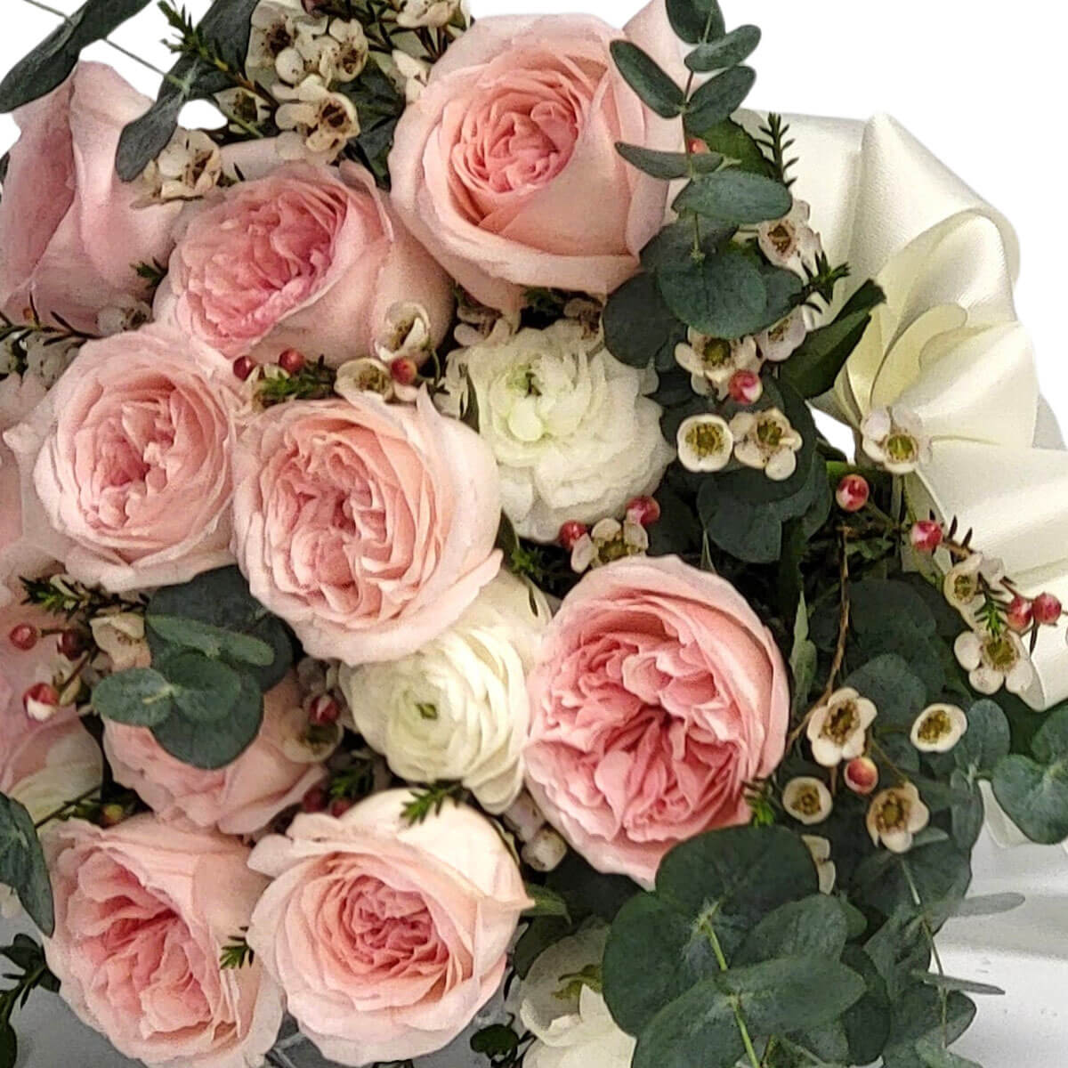 Blush pink garden roses, white ranunculus, waxflowers, and eucalyptus 淡粉花園玫瑰與白洋牡丹交織,小蠟花與尤加利葉增添層次,絲帶柔繫,綻放溫柔浪漫的氛圍。