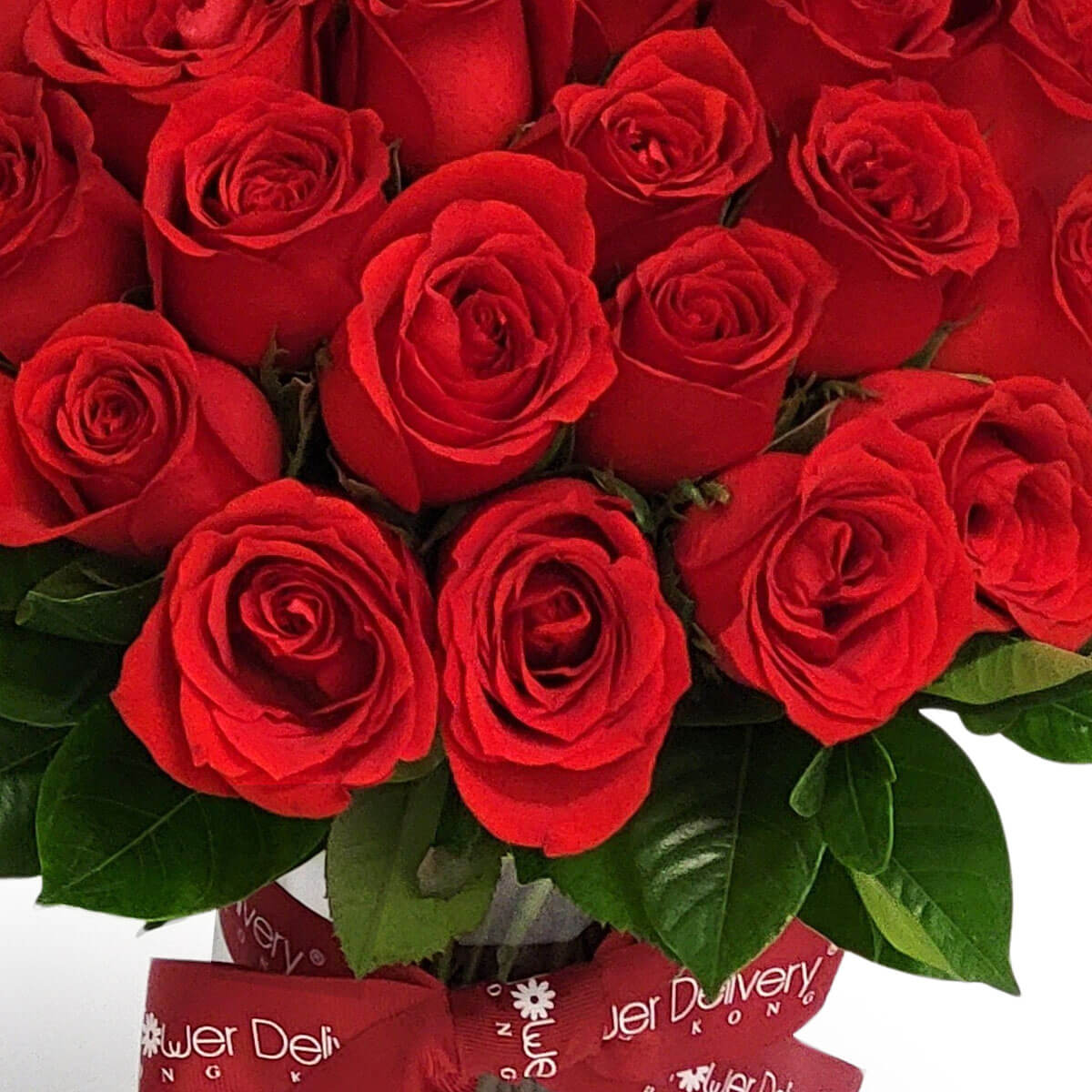 Elegant bouquet of vivid red roses tied with a red ribbon, expressing timeless love and passion 鮮紅玫瑰綁以緞帶,象徵永恆愛意與濃烈情感。