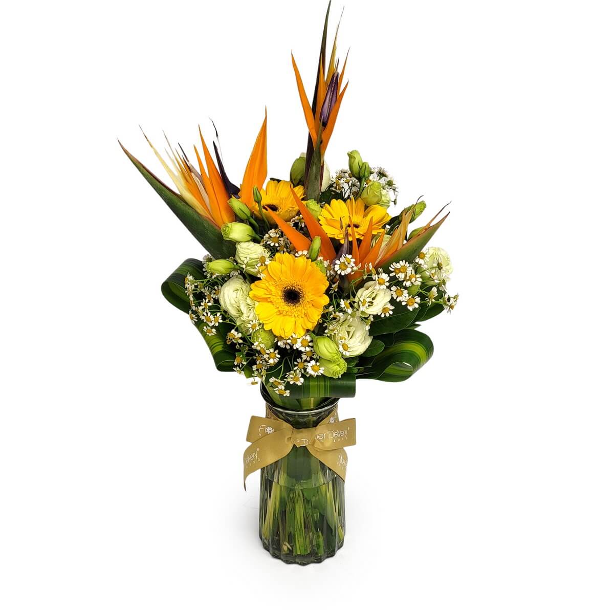 Full vase arrangement of birds-of-paradise, gerberas, green lisianthus, chamomile daisies, and tropical leaves 天堂鳥、太陽花、綠洋桔梗、洋甘菊及熱帶綠葉大型原圖瓶花