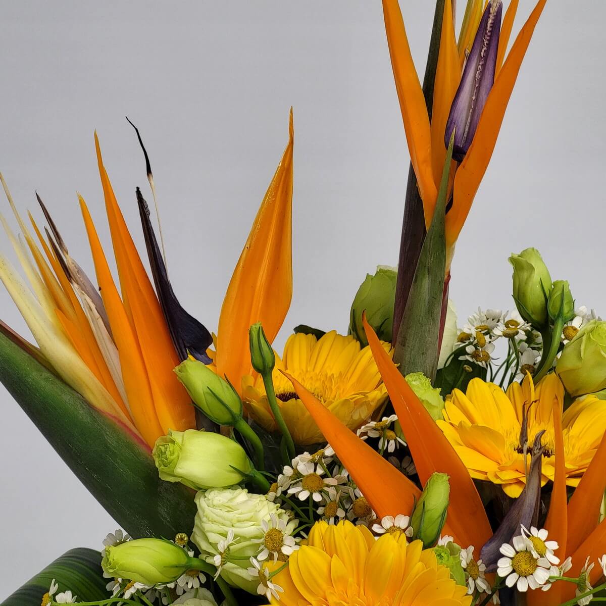 Tropical bouquet featuring orange birds of paradise, yellow gerberas, delicate white daisies, and green lisianthus blooms 橙天堂鳥、黃太陽花、白雛菊與綠洋桔梗構成的熱帶風花束
