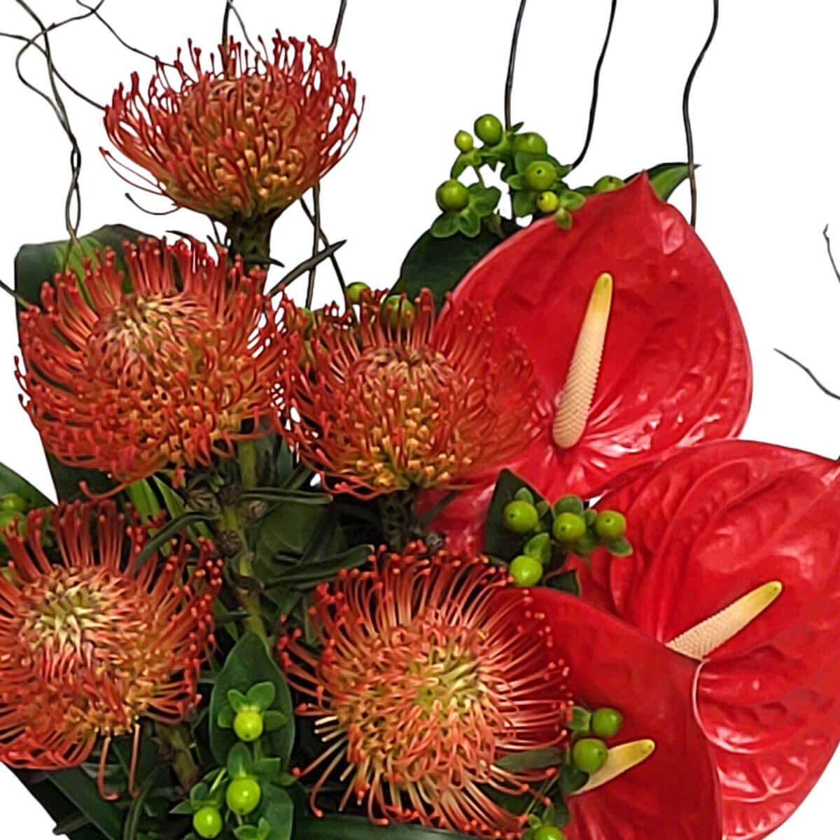Vivid arrangement of red pincushion proteas and anthuriums with green berries and curly twigs 火炬花與紅掌交織成束,綠色漿果與彎曲枝條添上自然熱帶韻味。